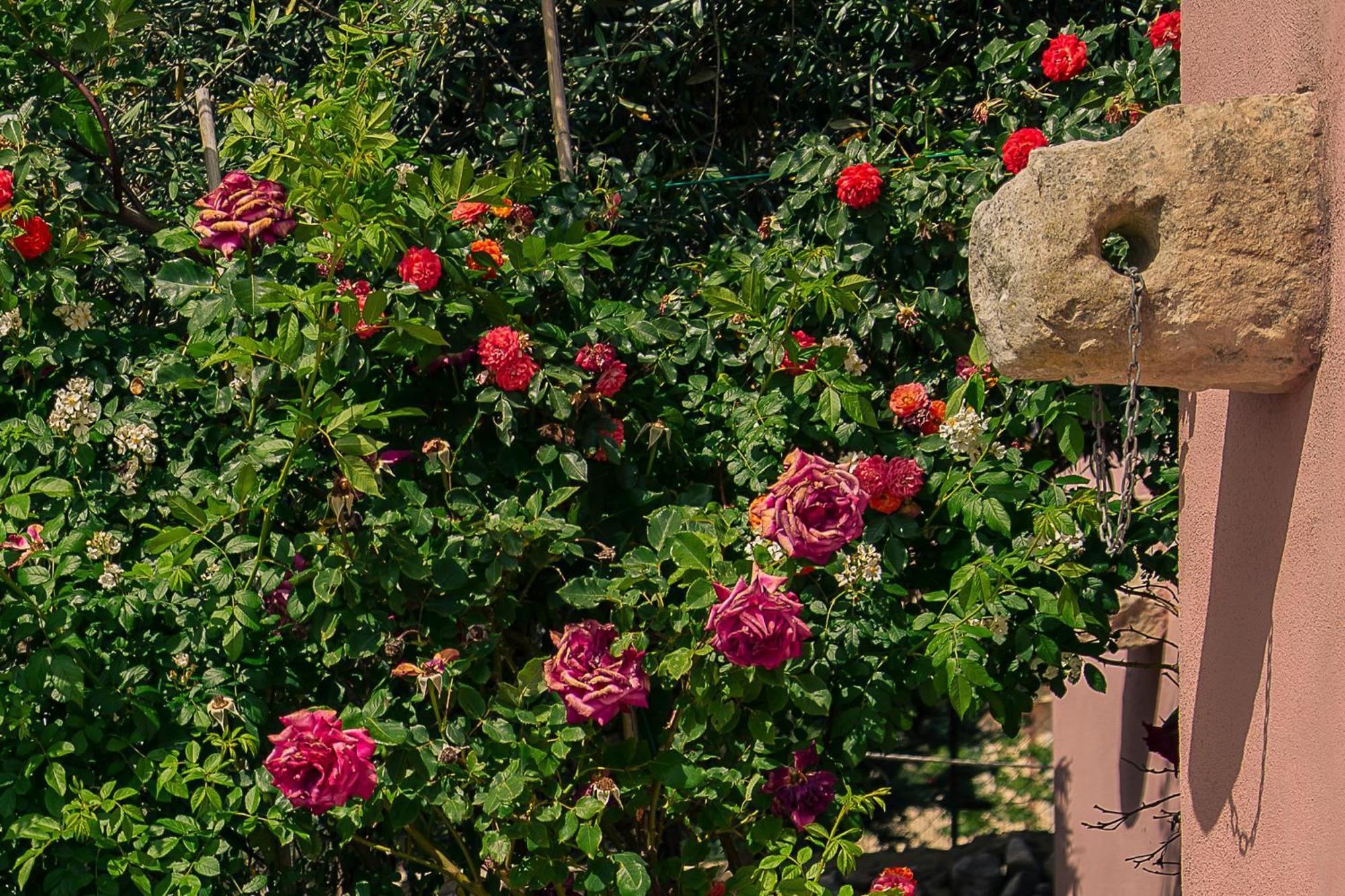 Villa Virginia Ragusa Exteriér fotografie